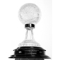 NABC National Championship Trophy